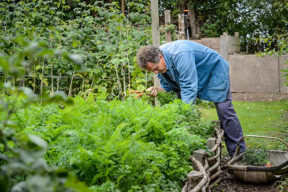 August fruit and veg with Monty