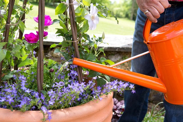Best watering cans and misters in 2022