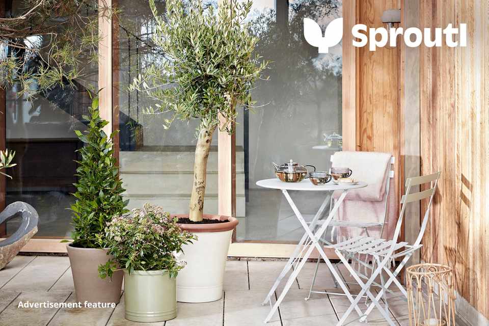 Win £350 to spend at Sproutl.com
