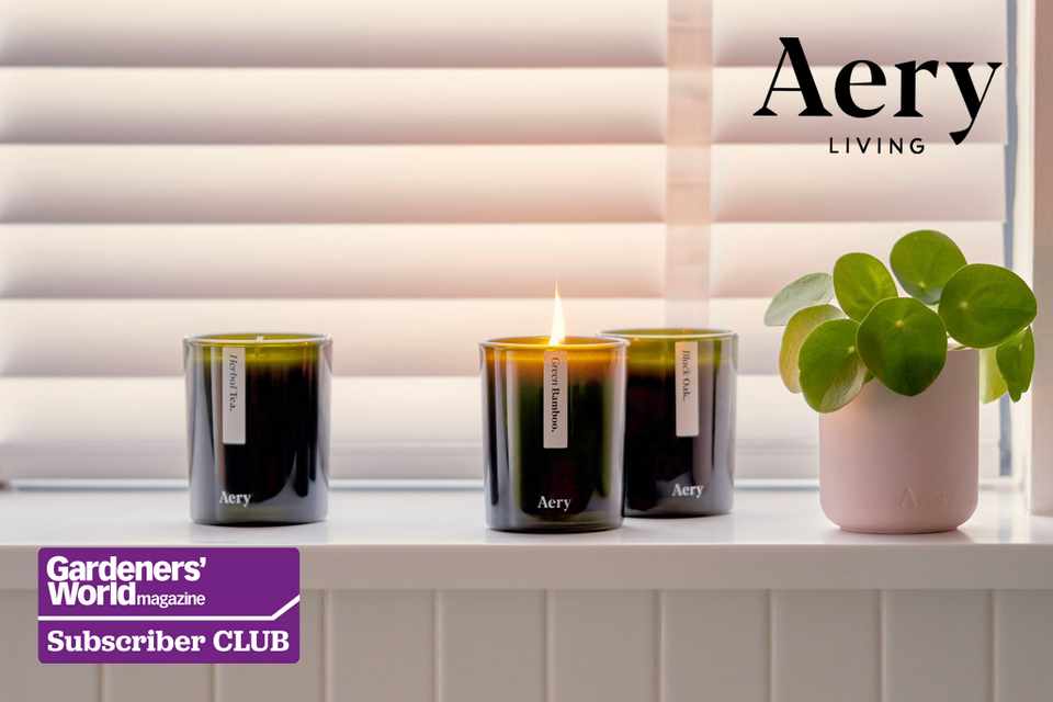 Win £200 to spend at Aery Living