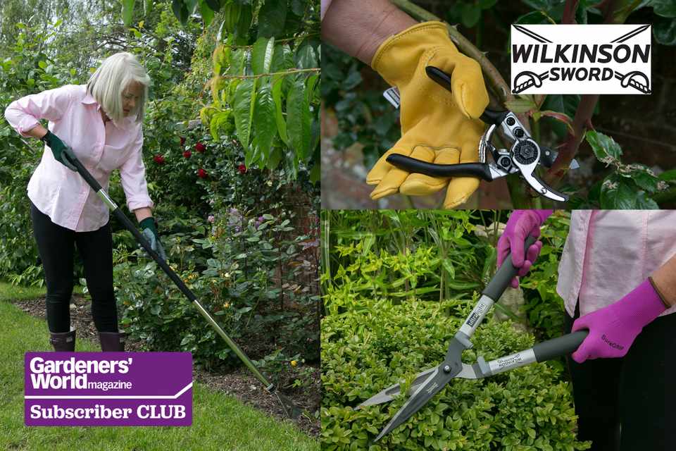 Win a set of Ultralight garden tools from Wilkinson Sword