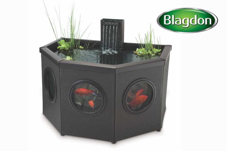 Win a water feature from Blagdon