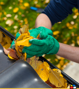 gutters cleaning how to