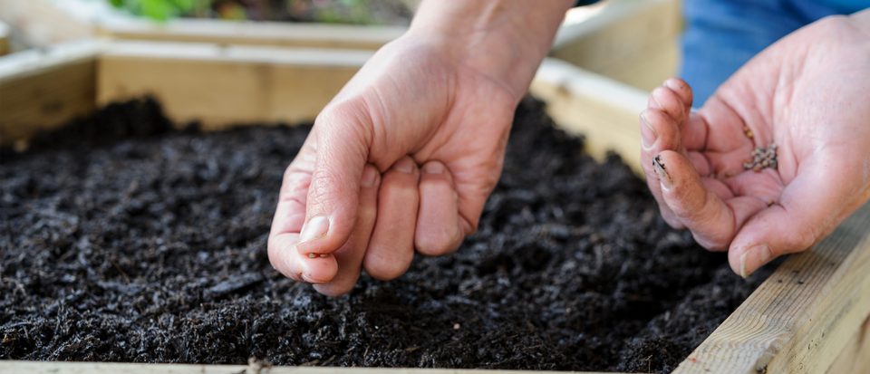 Gardeners World Logo