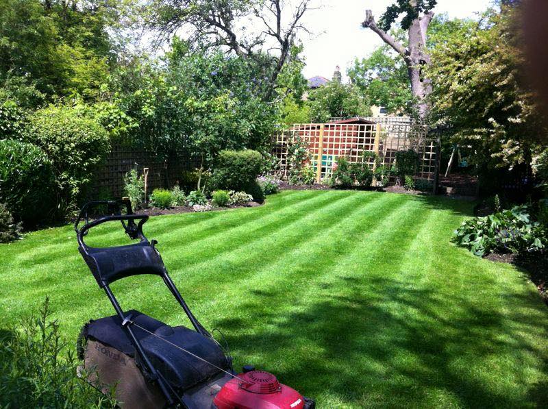 lawn care services