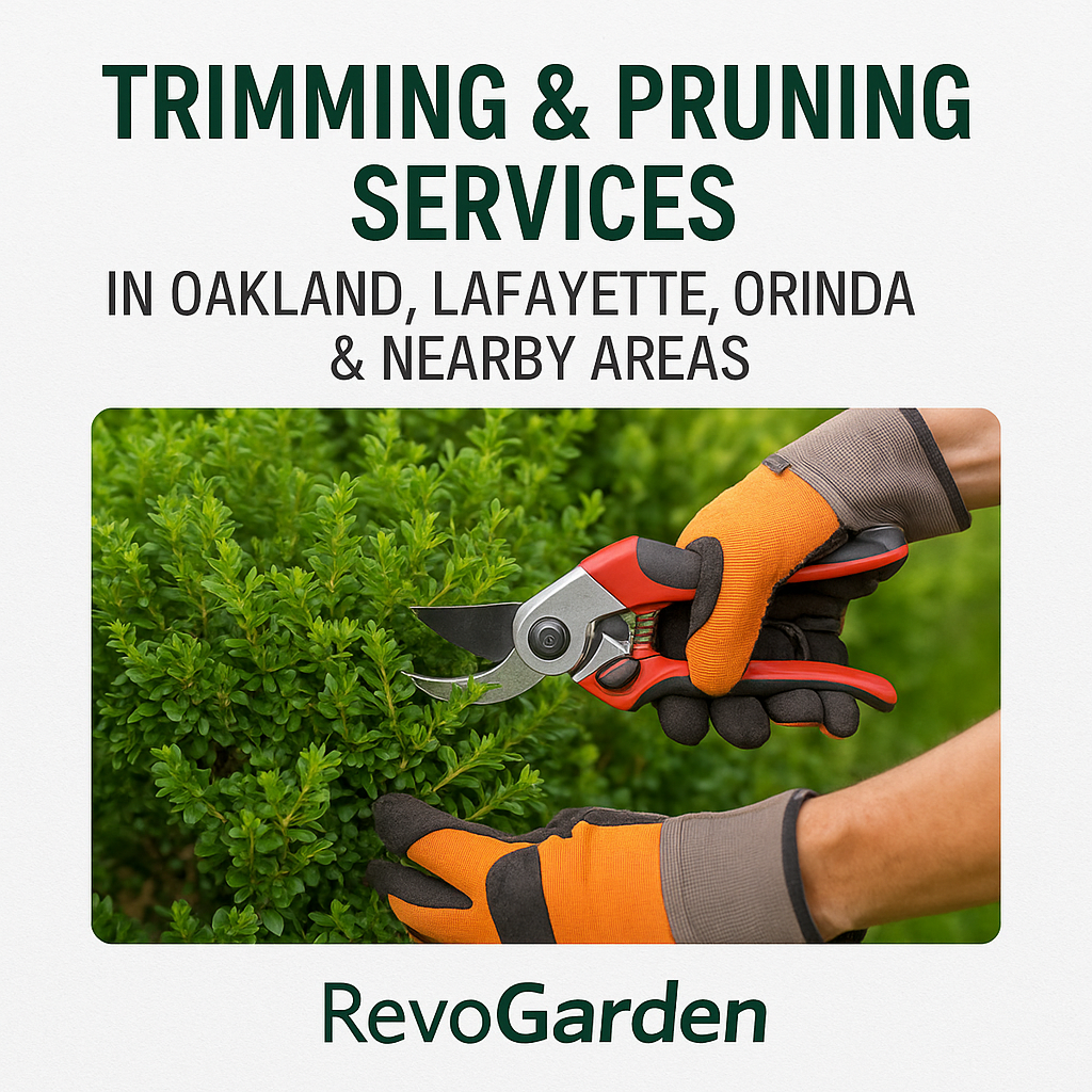 Trimming & Pruning in Oakland, Lafayette, Orinda & Nearby Areas in California